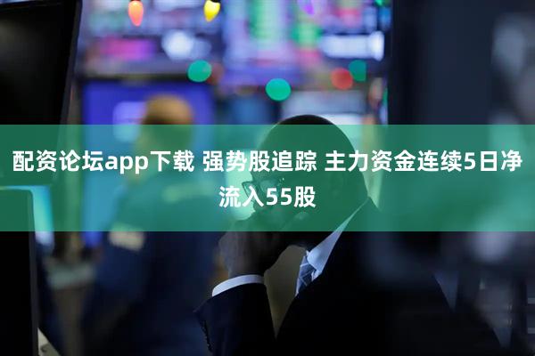 配资论坛app下载 强势股追踪 主力资金连续5日净流入55股