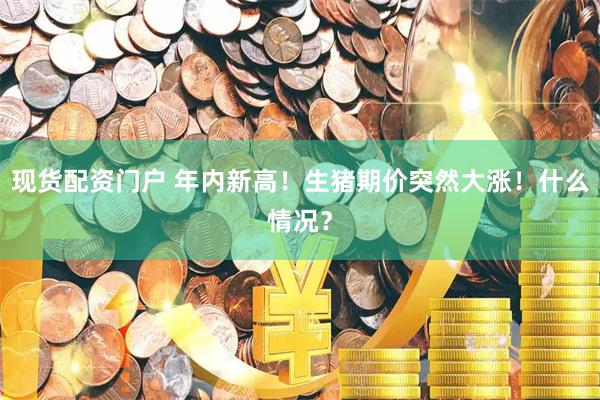 现货配资门户 年内新高！生猪期价突然大涨！什么情况？