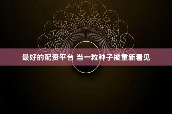 最好的配资平台 当一粒种子被重新看见